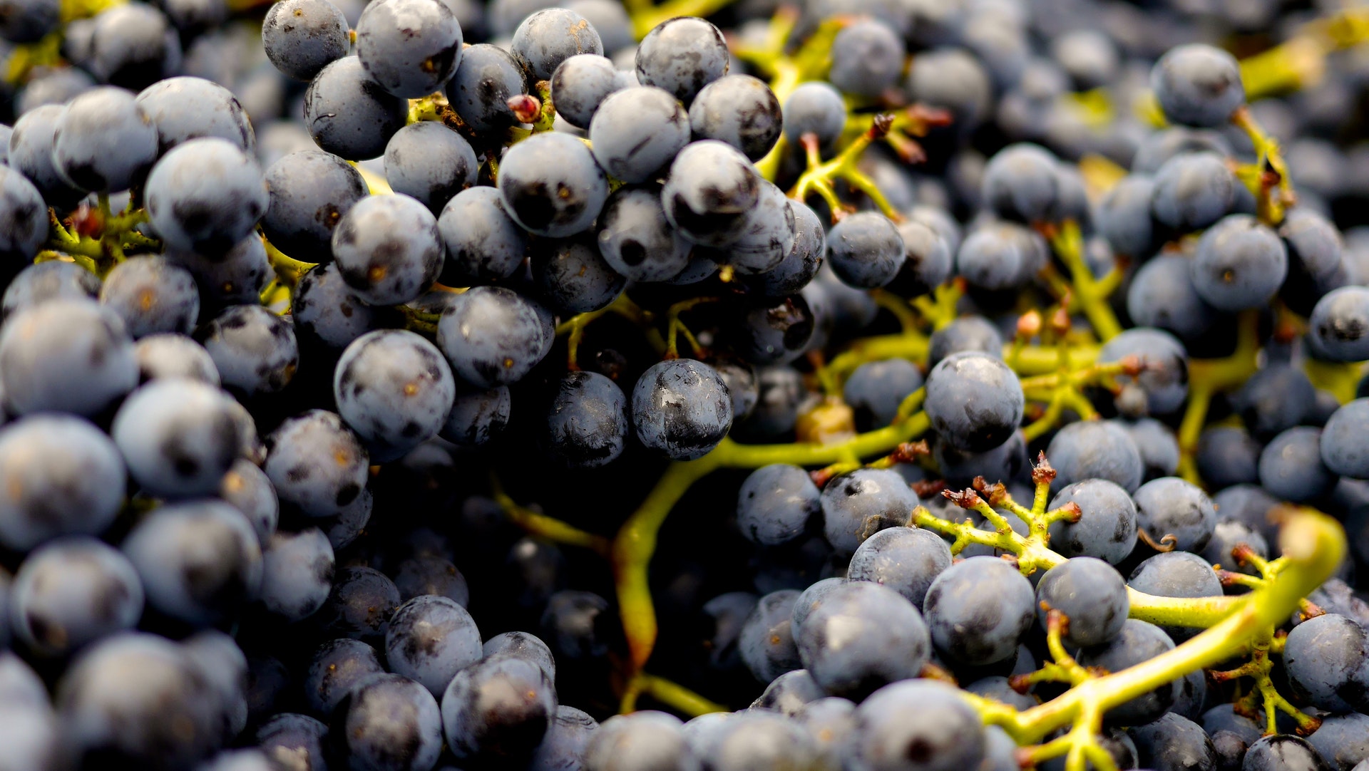 Barbera Massage Day